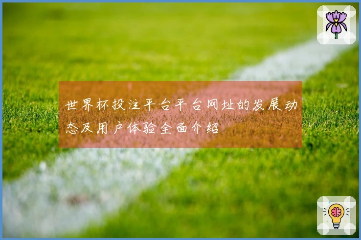 世界杯投注平台平台网址的发展动态及用户体验全面介绍