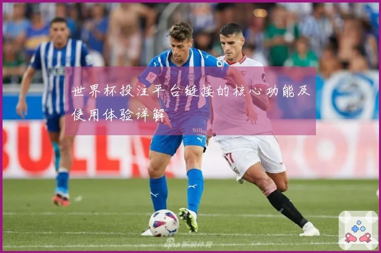 世界杯投注平台链接的核心功能及使用体验详解