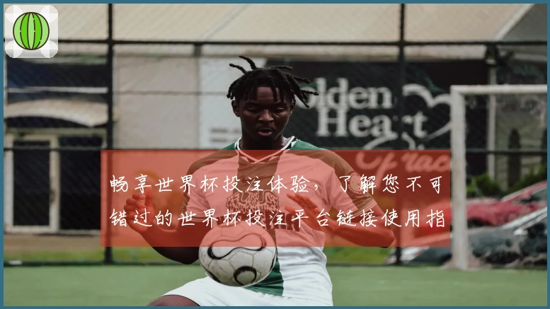 畅享世界杯投注体验，了解您不可错过的世界杯投注平台链接使用指南
