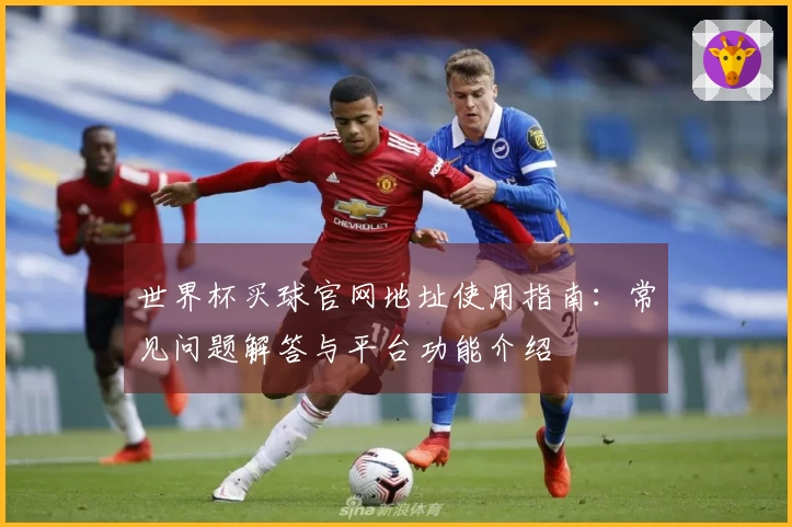 世界杯买球官网地址使用指南：常见问题解答与平台功能介绍