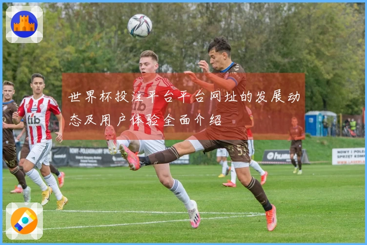 世界杯投注平台平台网址的发展动态及用户体验全面介绍