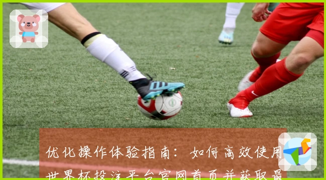 优化操作体验指南：如何高效使用世界杯投注平台官网首页并获取最佳服务